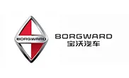 Borgward — BHS client